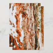 ベンドのウィンターワンダーランド - オレゴン州 シーズンカード (正面/裏面)