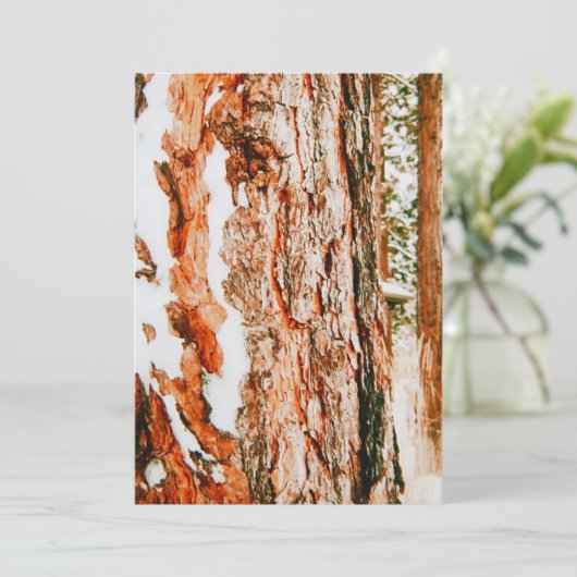 ベンドのウィンターワンダーランド - オレゴン州 シーズンカード (スタンド正面)