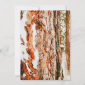 ベンドのウィンターワンダーランド - オレゴン州 シーズンカード (裏面)