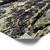 ベンロモンドケア ポスター (角)