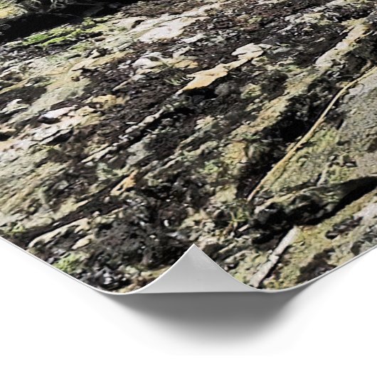 ベンロモンドケア ポスター (角)