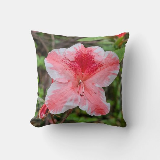 ベン・モリソン・ツツジ (Rhododendron 'Ben Morrison') クッション (正面)