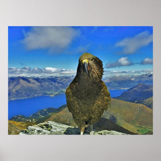 ベン・ロモンドのKea ポスター (正面)