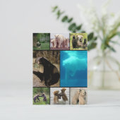 ベーよくはしゃぐズ ポストカード (スタンド正面)