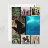 ベーよくはしゃぐズ ポストカード (正面/裏面)