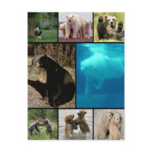 ベーよくはしゃぐズ