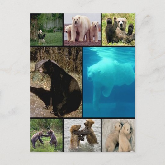 ベーよくはしゃぐズ ポストカード (正面)