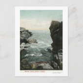 ベーカーズ島の眺め、クジラの群れ ポストカード (正面)