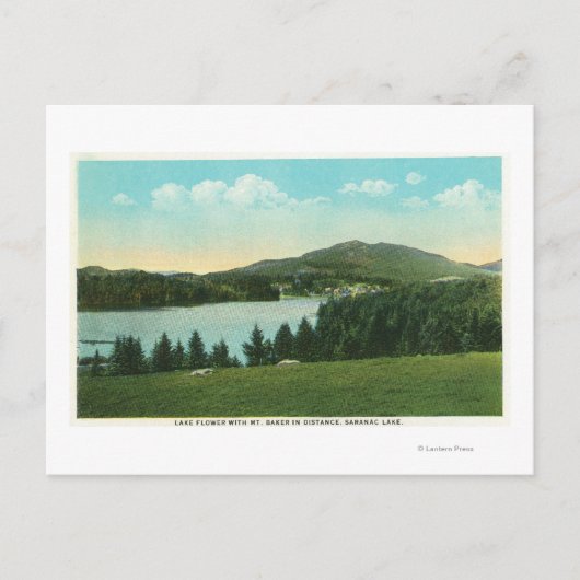 ベーカー山と湖の花の遠景 ポストカード (正面)