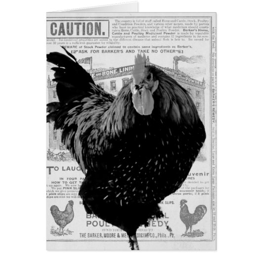 ベーカー特産家きん (正面)