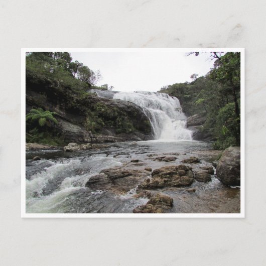 ベーカー秋 ポストカード (正面)