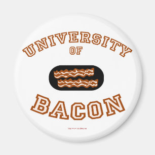 ベーコン大学 マグネット