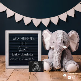 ベージュとグレーのミニマル妊娠発表 招待状