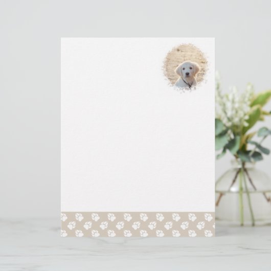 ベージュカスタムと白い前足のペット写真テンプレート レターヘッド (スタンド正面)