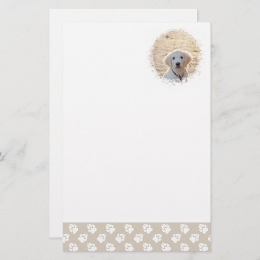 ベージュカスタムと白い前足のペット写真テンプレート 便箋 (正面/裏面)