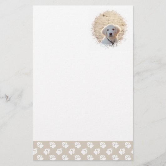 ベージュカスタムと白い前足のペット写真テンプレート 便箋