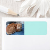 ベージュキャット住所 シール (インサイチュ)