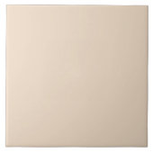 ベージュタイル タイル (正面)