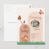 ベージュフォレストをテーマにしたキツネベビー統計 ポストカード (正面/裏面)