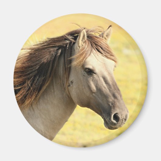 ベージュホースプロファイル マグネット (正面)