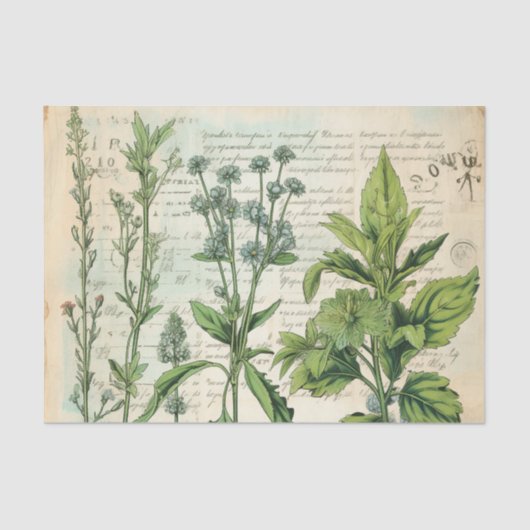 ベージュヴィンテージ水彩ナチュラルワイルドフラワー 薄葉紙 (正面)