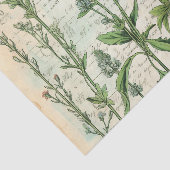 ベージュヴィンテージ水彩ナチュラルワイルドフラワー 薄葉紙 (詳細)