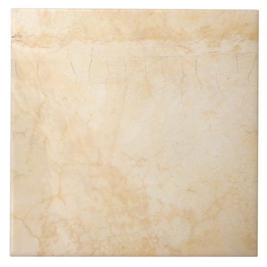 ベージュ素朴ブラウンテラコッタ タイル (正面)