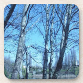 ベージン春 コースター (正面)