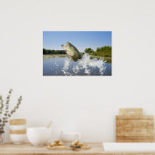 ベースジャンプ2013 ポスター (キッチン)