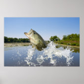 ベースジャンプ2013 ポスター (正面)