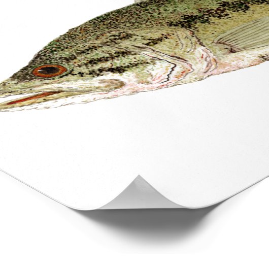 ベース ポスター (角)