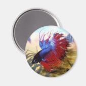 ベータ魚 マグネット (正面/裏面)