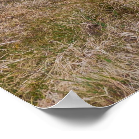 ベートガロウェイオンダートモア誇りを持ったファームラン ポスター (角)