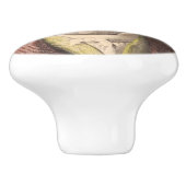 ベートーベン1-1/2インチセラミックプルノブ セラミックノブ (側面)