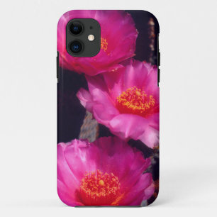 ベーバーテイルサボテンの花 2 iPhone 11 ケース