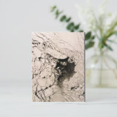 ベーリング海の聖マシュー島衛星画像 ポストカード (スタンド正面)