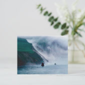 ベーリング海，ホール島， 1997 ポストカード (スタンド正面)