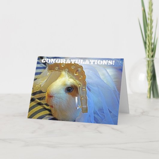 ベールのモルモット カード (正面)