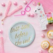 ベールの紙皿の前の最後の帆 ペーパープレート (パーティー)