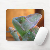 ベールドカメレオン マウスパッド (マウス)