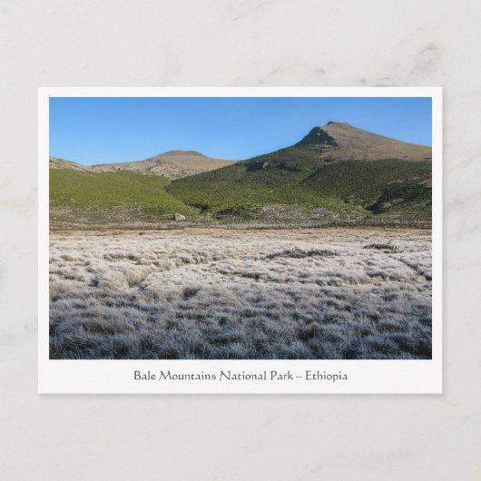 ベールマウンテンズエチオピア ポストカード (正面)
