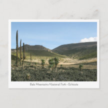 ベールマウンテンズエチオピア