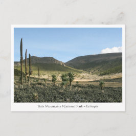 ベールマウンテンズエチオピア ポストカード