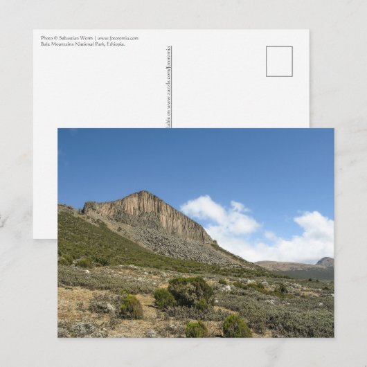 ベールマウンテンズエチオピア ポストカード (正面/裏面)