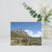 ベールマウンテンズエチオピア ポストカード (スタンド正面)