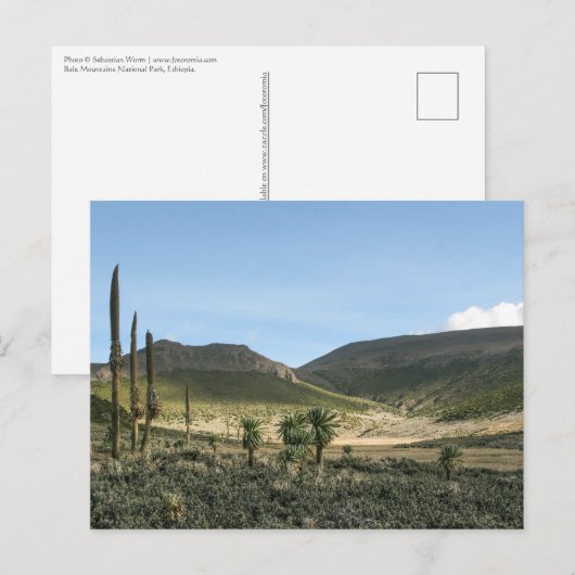 ベールマウンテンズエチオピア ポストカード (正面/裏面)