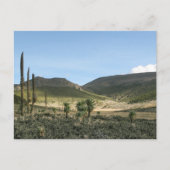 ベールマウンテンズエチオピア ポストカード (正面)