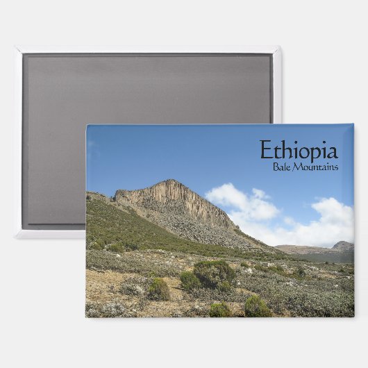 ベールマウンテンズエチオピア マグネット (正面/裏面)