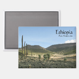 ベールマウンテンズエチオピア マグネット