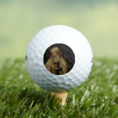 ベールヴァージンメアリー(by Lucas van Leyden) ゴルフボール (インサイチュ 木)